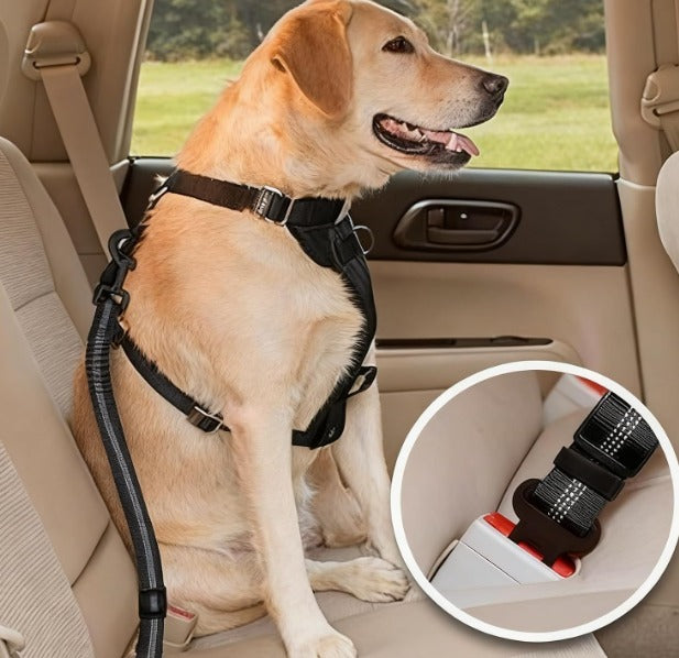 حزام الأمان للكلاب Ceinture de sécurité chien