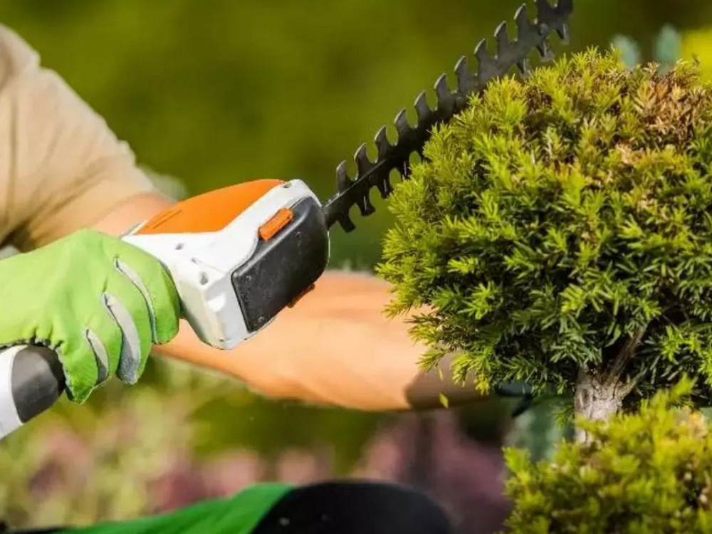 Taille-Herbes Électrique Sans Fil - آلة قص الأعشاب والشجيرات اللاسلكية
