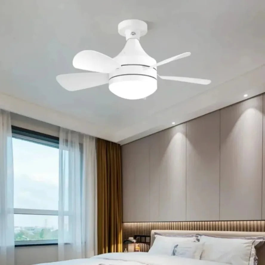 Lampe et Ventilateur - مصباح ومروحة