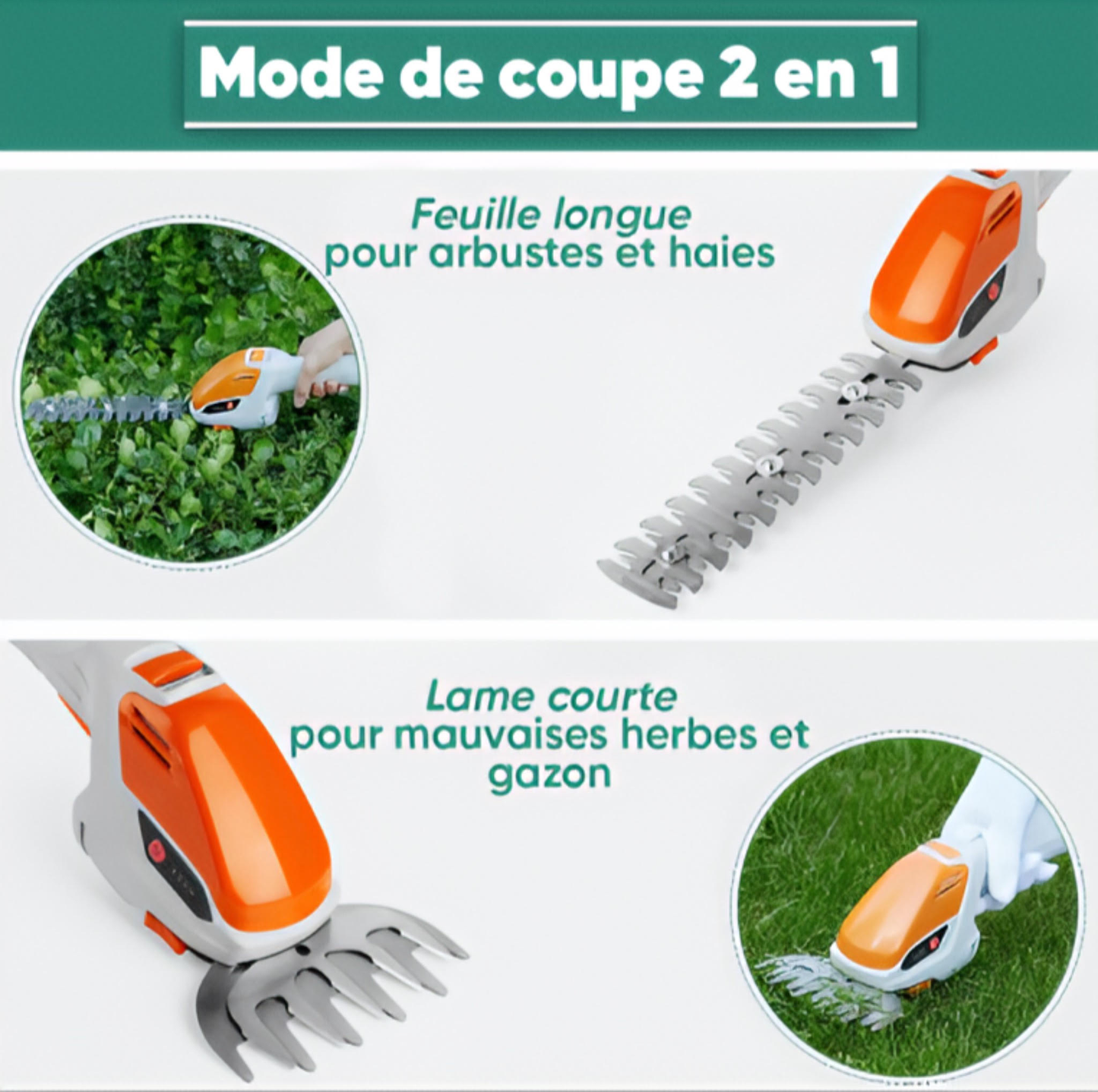 Taille-Herbes Électrique Sans Fil - آلة قص الأعشاب والشجيرات اللاسلكية