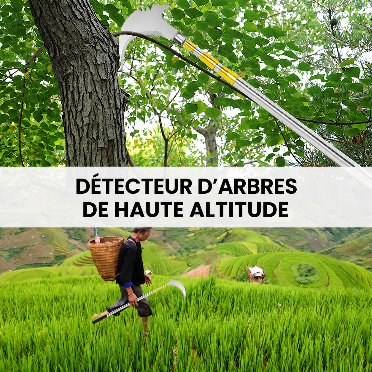 Kit télescopique de taille et de cueillette - أداة تقليم الأشجار متعددة الوظائف