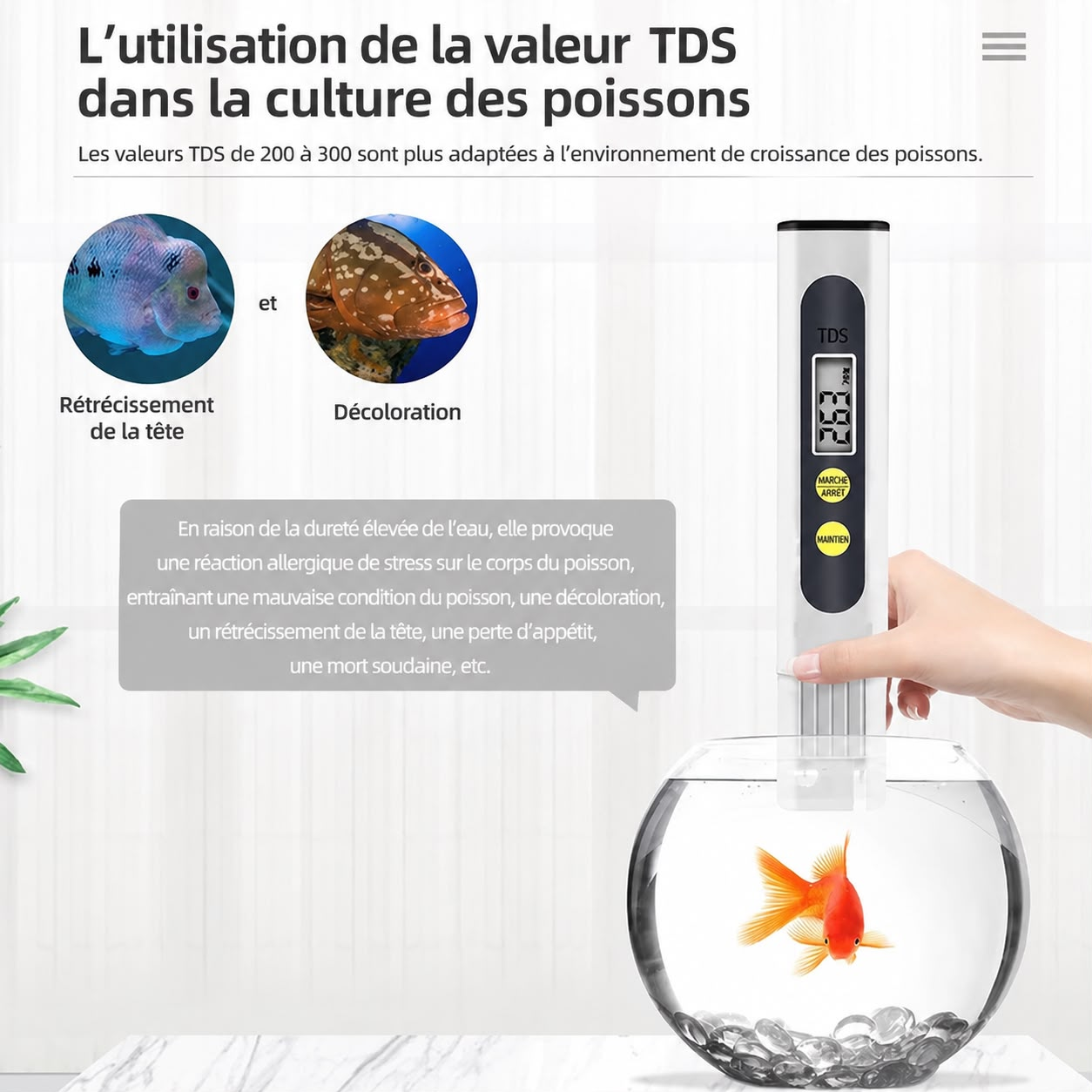 Testeur TDS de qualité de l’eau - جهاز قياس جودة المياه الذكي