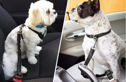 حزام الأمان للكلاب Ceinture de sécurité chien