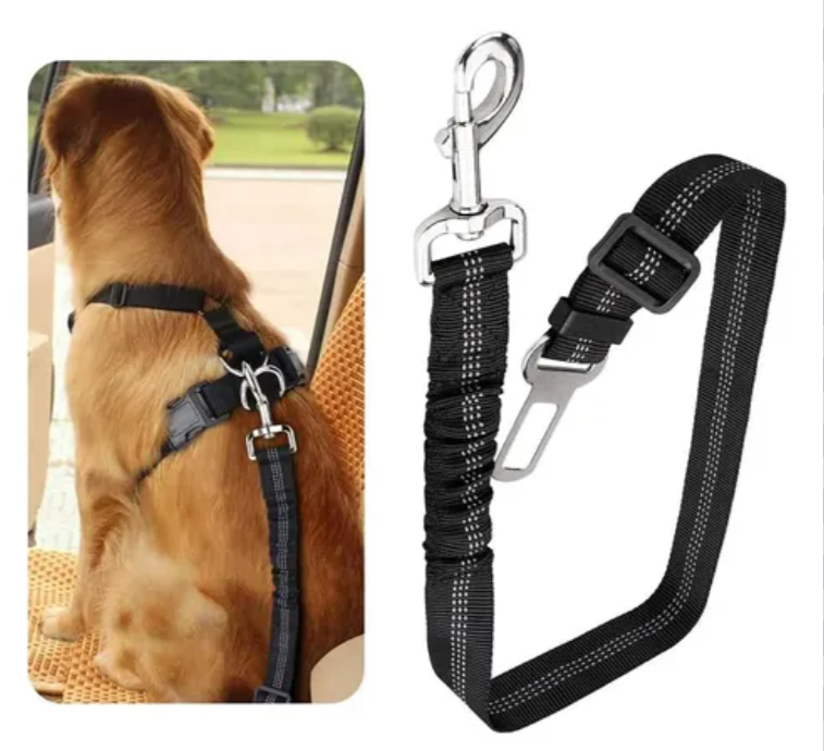 حزام الأمان للكلاب Ceinture de sécurité chien