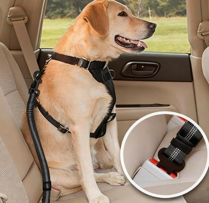 حزام الأمان للكلاب Ceinture de sécurité chien
