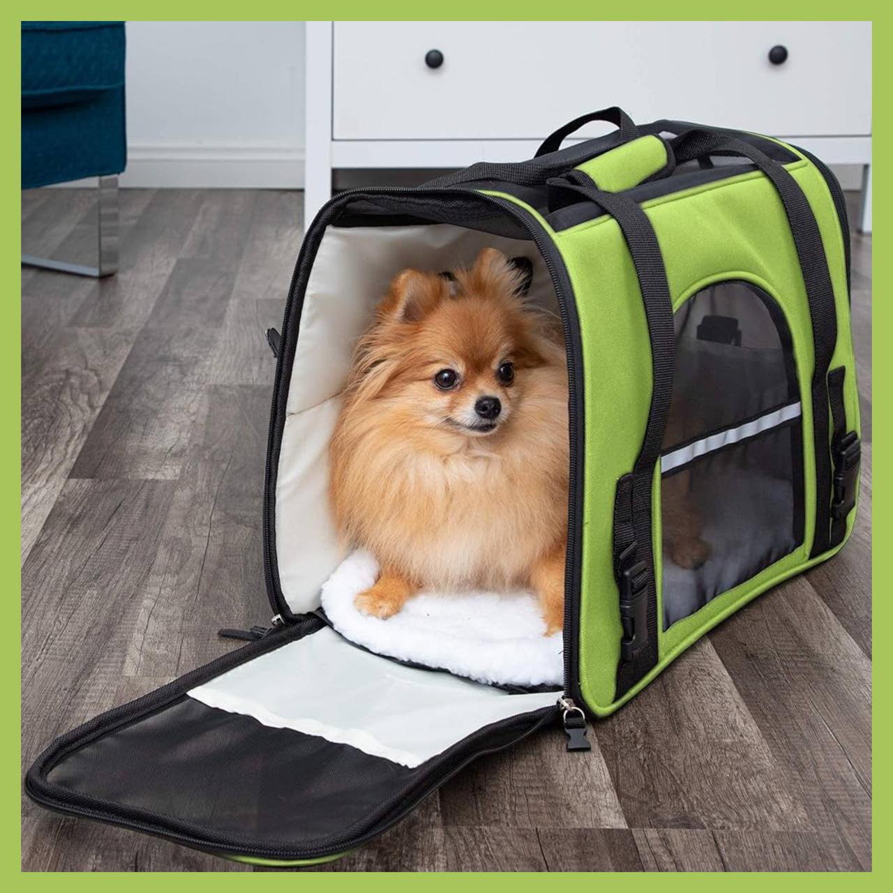 Sac de Mobilité pour animaux - حقيبة النقل للحيوانات الأليفة