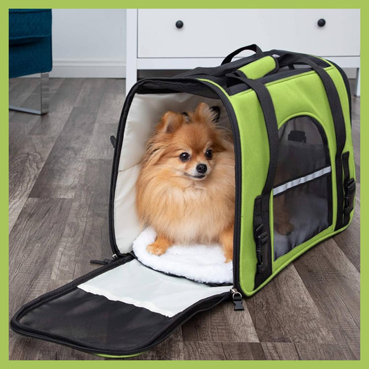 Sac de Mobilité pour animaux - حقيبة النقل للحيوانات الأليفة