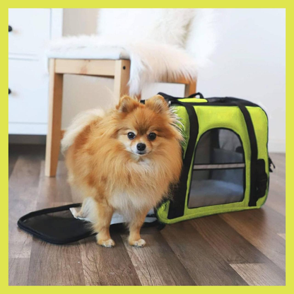 Sac de Mobilité pour animaux - حقيبة النقل للحيوانات الأليفة