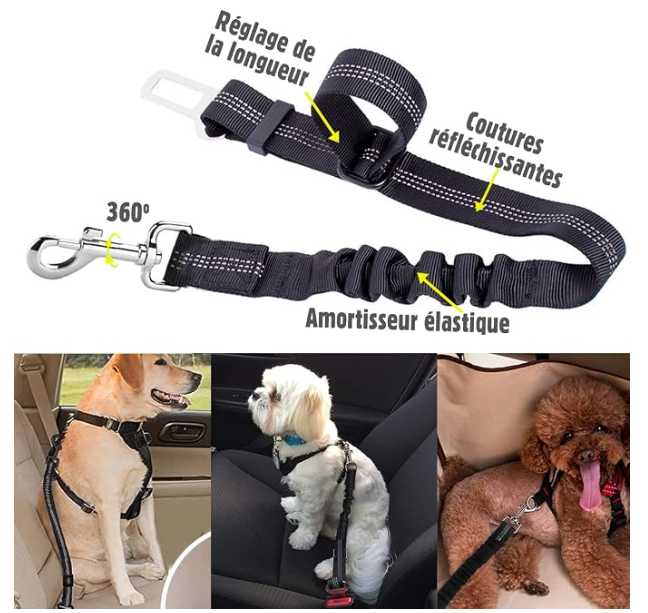 حزام الأمان للكلاب Ceinture de sécurité chien