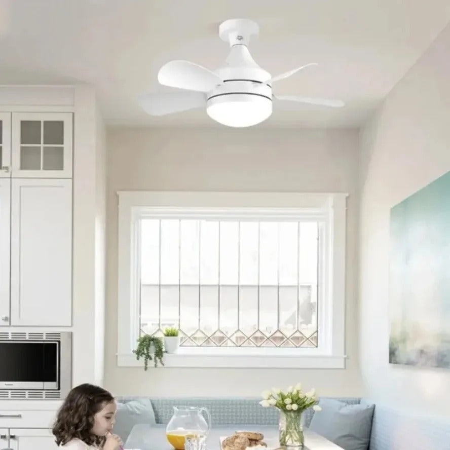 Lampe et Ventilateur - مصباح ومروحة