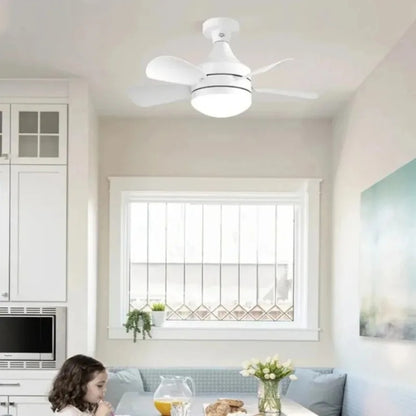 Lampe et Ventilateur - مصباح ومروحة
