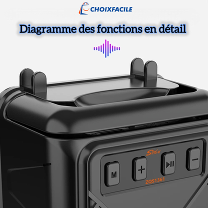 Enceinte Karaoké Portable avec Micro - سماعة كاريوكي محمولة مع ميكروفون